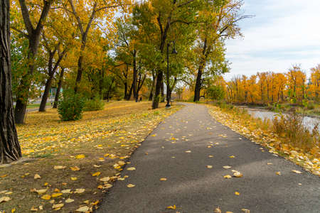 Public park with change of seaon fall autmn colorsの写真素材