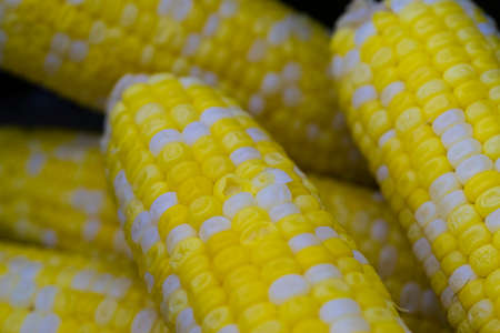 boiled corn on the cob served and ready to eat