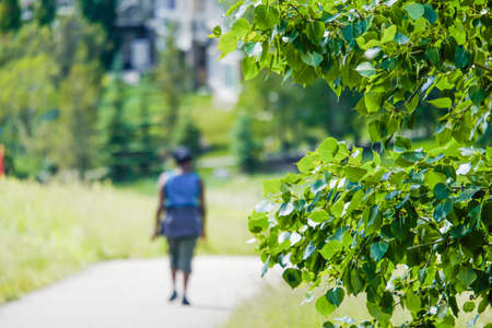 Woman walking in park by trees in summer
