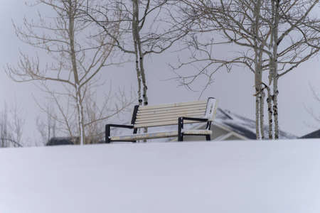 park bench coverd in snow in public parkの写真素材
