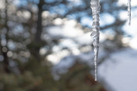 Frozen Icicles hanging from roof gutter in winterの写真素材