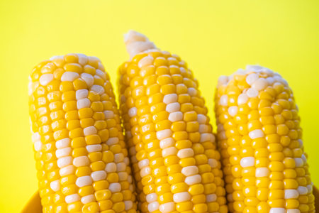 Boiled tasty corn on the Cob ready to eat