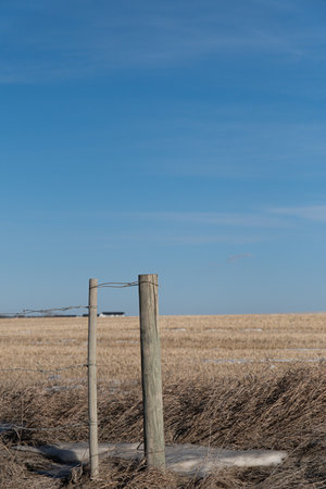 Fence posts with wire around a farm in Albertaの写真素材