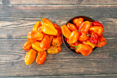 Scotch Bonnet hot spicy Peppers on wood Kitchen tableの写真素材