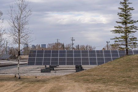 solar panels in a solar farm to generate clean energy