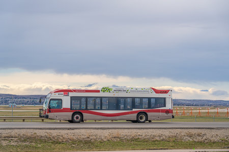April 28 2024 - Calgary Alberta Canada - Calgary Transit Natural Gas powered Busのeditorial素材