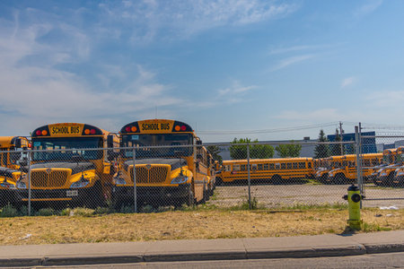 2 August 2024 - Calgary Alberta Canada - Yellow School Buses in Parking Lot