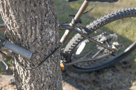 bike locked to a tree to prevent theftの写真素材