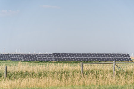 solar panels in a field to generate clean energy