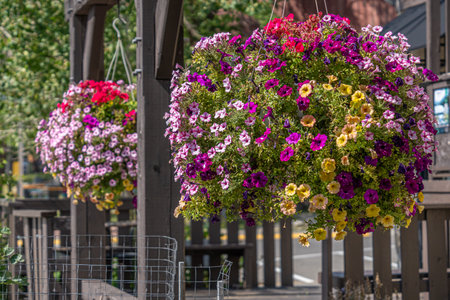 Restaurant Patio with Hanging collection of flower potsの写真素材