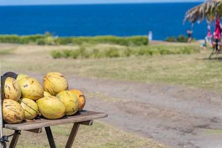 Pile of coconuts on a table dsplayの写真素材