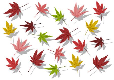 Autumn mapleのイラスト素材