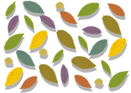 Leaves illustrationのイラスト素材