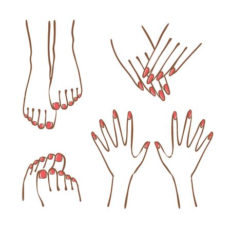 Hand and foot illustration set.The nails are given manicure and pedicure.のイラスト素材