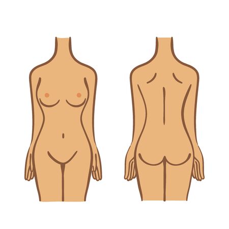 Illustration of female torsoのイラスト素材