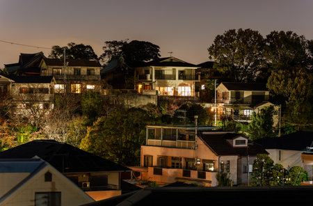 Large homes on hillside between trees at nightの写真素材