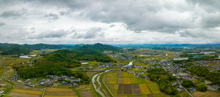 Panoramic aerial view of yellow and green fields in farmland on cloudy dayの写真素材