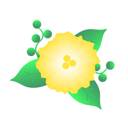 Yellow flower iconのイラスト素材