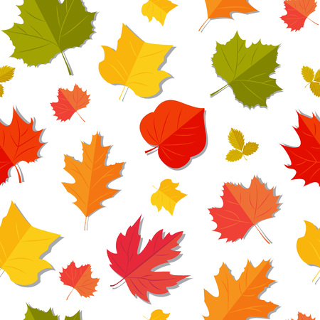 Autumn colorful leaves pattern vector illustration.のイラスト素材