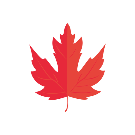 Vector Illustration. Red Maple leaf. Autumn icon leafのイラスト素材