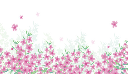 Vector Illustration. Poster with angelonia. Background with modern home flowers and with place for textのイラスト素材