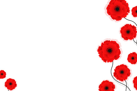 Nature background with red poppies flowers. Vector illustration. Can be used for textile, wallpapers, prints and web design. Vector illustrationのイラスト素材
