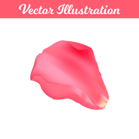 Vector Illustration. Romantic petal rose type 9. Isolated elementのイラスト素材