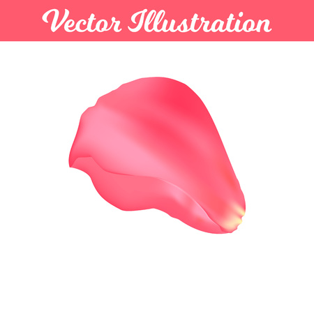 Vector Illustration. Romantic petal rose type 5. Isolated elementのイラスト素材