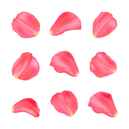 Vector Illustration. Set of nine rose petals. Elegance rose petals for different backgroundsのイラスト素材