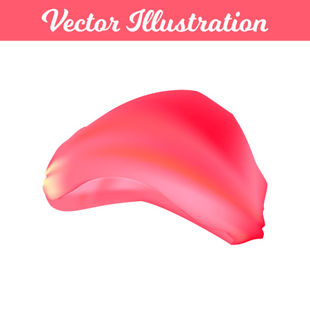 Vector Illustration. Romantic petal rose type 7. Isolated elementのイラスト素材