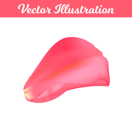 Vector Illustration. Romantic petal rose type 2. Isolated elementのイラスト素材