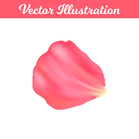 Vector Illustration. Romantic petal rose type 6. Isolated elementのイラスト素材
