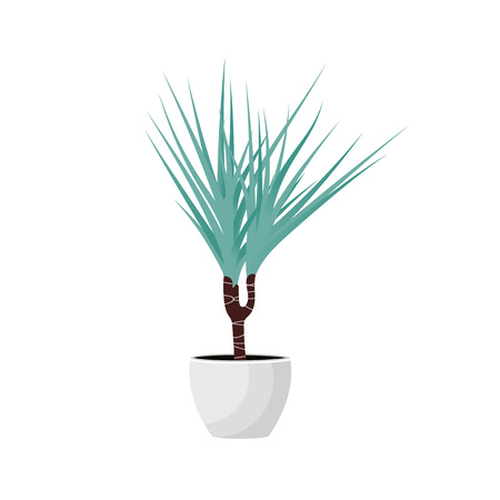 Vector Illustration. Plant in pot. Drocena home plant. Flat styleのイラスト素材