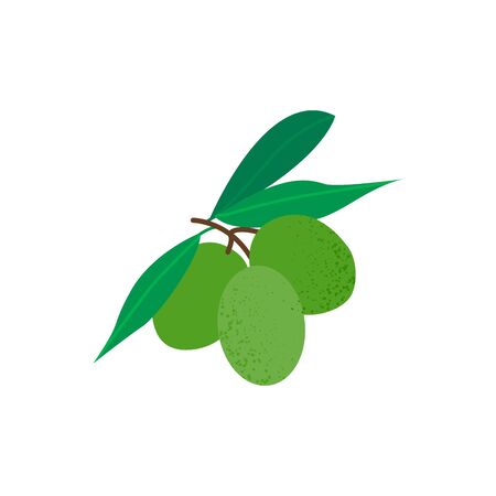 Green olives in flat style isolated on white background. Keto diet. Olive Icon symbol food. Vector illustration.のイラスト素材