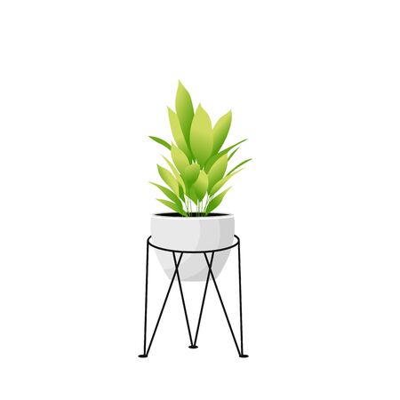 Home isolated plant pot for style design window or house interior. Hanger with green  
modern home flowers. Elements for concept hygge room. Isolated garden decoration, vector illustrationのイラスト素材