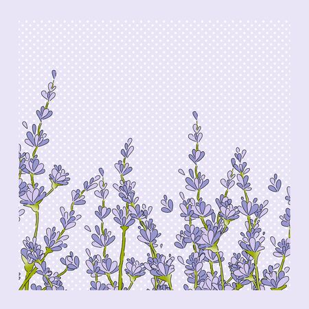 Isolated lavender flower bouguet. Silhouette purple floral icon. Vector Illustrationのイラスト素材