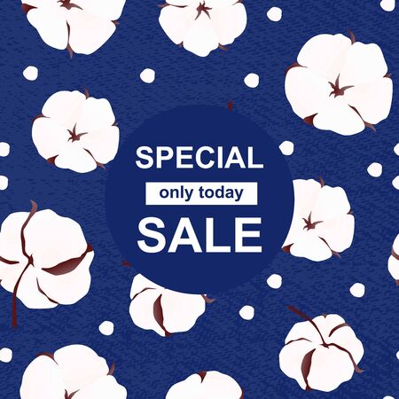 Special Sale poster with cotton vector plant. Realistic flower for shop, web. Vector Illustrationのイラスト素材