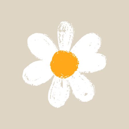 Isolated cute daisy flower. Hand draw chamomile head. Yellow white floral marquerite in simple flat style. Vector printable Illustrationのイラスト素材
