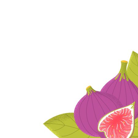 Template background with organic vector figs fruit in modern flat style. Healthy exotic purple food. Vitamin plant concept illustration cardのイラスト素材