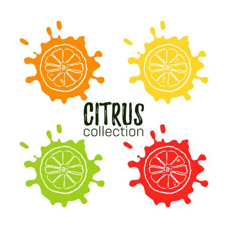Set of citrus collection. Hand draw silhouette orange, lime, lemon, grapefruit on trendy tropical fruit stains.のイラスト素材