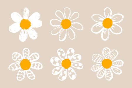 Isolated cute daisy flower set. Hand draw chamomile head. Yellow white floral marquerite in simple flat style. Vector printable Illustrationのイラスト素材