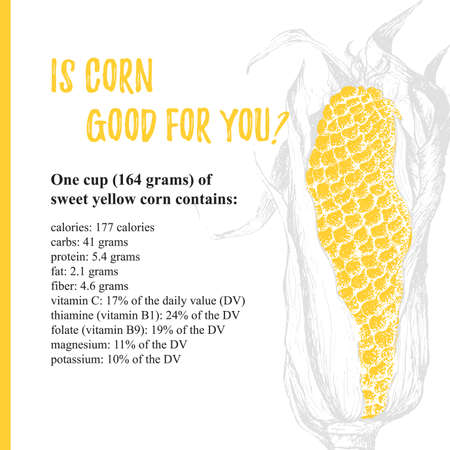 Template poster with vector corn. Vector healthy food is everyday value. Organic yellow antioxidant in modern style. Illustration on points and paint brush backgroundのイラスト素材