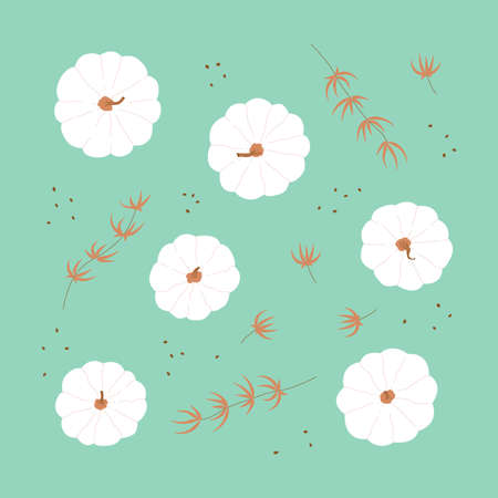 Set of cute white pumpkins in modern flat style with autumn branch. Thanksgiving elements food. Modern silhouette for design. Vector illustrationのイラスト素材