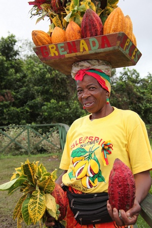 Grenada, VI--January 27, 2009--Grenada woman holding nutmeg spices on her head for picture taking. (vma 2009)のeditorial素材