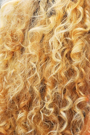 female beauty with blond curly hair.の写真素材