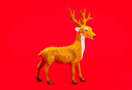 Christmas deerの写真素材