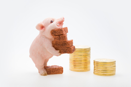 Piggy carry bricksの写真素材