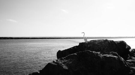 horizonの写真素材