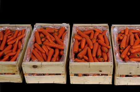 carrotの写真素材