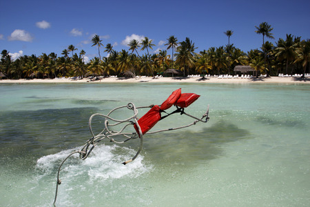 Casting anchor on the beach view from the sea with a coconut grove, dark blue sky and some cloudsの写真素材